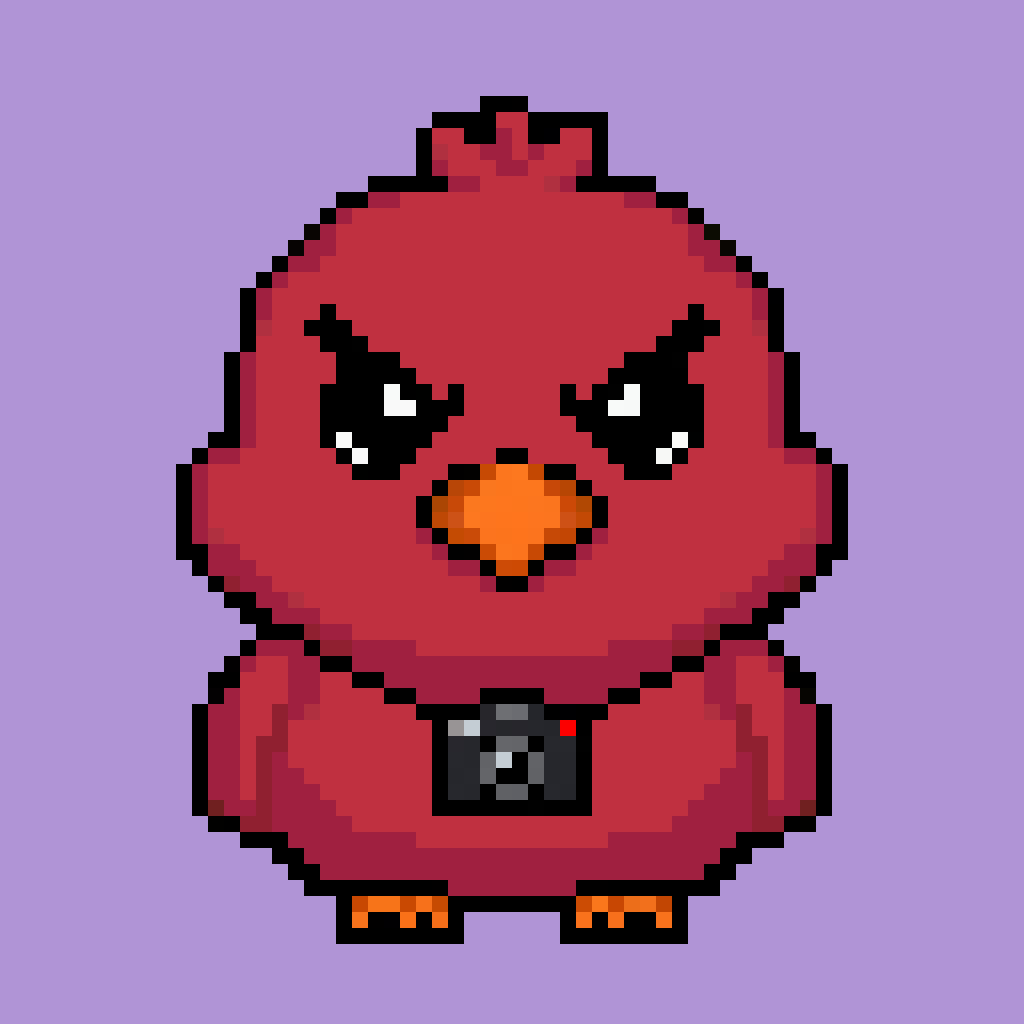 Baby Jay #1200